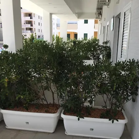 Ricciardelli Homes *